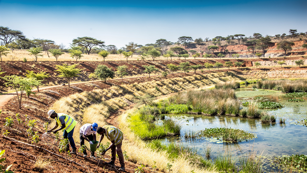 Environmental rehabilitation at graphite mining site